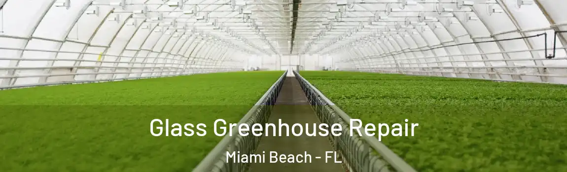 Glass Greenhouse Repair Miami Beach - FL